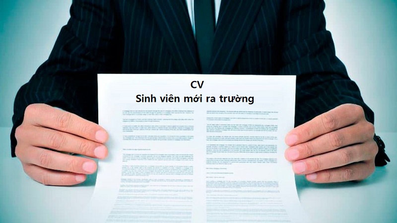 Lưu ý viết CV sinh viên mới ra trường