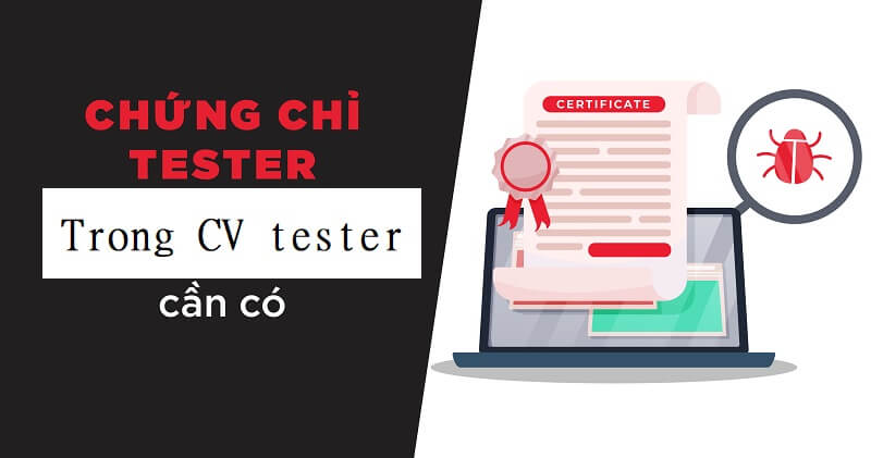 Bằng cấp, chứng chỉ - mục thông tin quan trọng có trong CV tester